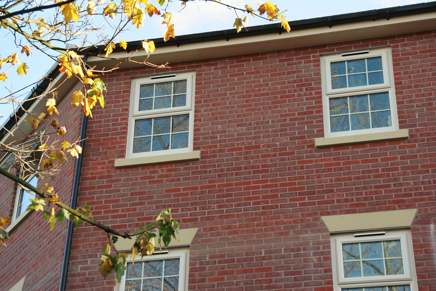 uPVC Windows